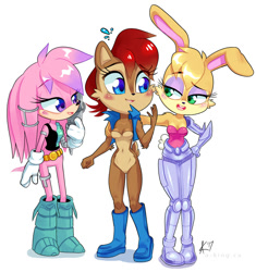 Size: 931x991 | Tagged: safe, artist:aynsleyking, bunnie rabbot, julie-su, sally acorn, sally's vest and boots