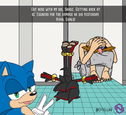 Size: 2000x1829 | Tagged: safe, artist:cytellax, robotnik, shadow the hedgehog, sonic the hedgehog, caption, shower, t-pose