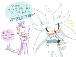 Size: 1488x1125 | Tagged: safe, artist:beadichnoa, blaze the cat, silver the hedgehog, blaze the flat, bra, featured image