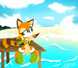 Size: 1600x1393 | Tagged: safe, artist:sfan12, marine the raccoon, beach, clouds, daytime