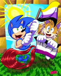 Size: 2400x3000 | Tagged: safe, artist:hedgehoghogvampir1, miles "tails" prower, sonic the hedgehog, green hill zone, 2021, abstract background, asexual pride, duo, flag, flying, nonbinary pride, running, signature, spinning tails