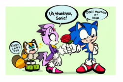 Size: 2823x1882 | Tagged: safe, artist:frogletcomics, blaze the cat, marine the raccoon, sonic the hedgehog, shipper on deck, shipping, sonaze, straight