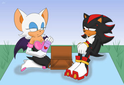 Size: 800x546 | Tagged: safe, artist:iscon, rouge the bat, shadow the hedgehog, looking at each other, picnic, rouge's heart top, shadouge, shipping, straight