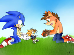 Size: 2048x1536 | Tagged: safe, artist:idalyaoisonic1344, sonic the hedgehog, oc, oc:carly bandihog, hedgehog, hybrid, bandana, bandicoot, bandihog, crash bandicoot, crash x sonic, crossover, crossover shipping, fankid, father and daughter, fingerless gloves, gay, grass, looking at them, magical gay spawn, parent and child, parent:crash, parent:sonic, parents:soncrash, shipping