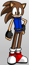 Size: 362x801 | Tagged: safe, artist:adam the hedgehog, hedgehog, character sheet, fingerless gloves, male, mobianified, shoes, smile, solo, sonic character creator, vest