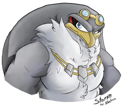 Size: 1125x981 | Tagged: safe, artist:revheadarts, storm the albatross, featured image, fluffy, goggles, looking at viewer, neck fluff, necklace, signature, simple background, solo, white background