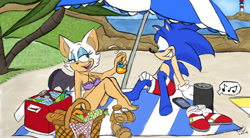 Size: 927x511 | Tagged: safe, artist:drawmeaponynamedbob, rouge the bat, sonic the hedgehog, bat, hedgehog, age difference, beach, bikini, duo, female, male, proship, shipping, sonouge, straight, swimsuit