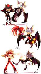 Size: 1000x1800 | Tagged: safe, artist:rougechao, amy rose, knuckles the echidna, rouge the bat, shadow the hedgehog, bat, echidna, hedgehog, female, gay, gender swap, group, knuxouge, male, rougamy, shadouge, shipping, simple background, straight, white background