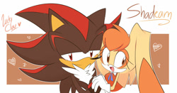 Size: 1280x672 | Tagged: safe, artist:luckyclau, cream the rabbit, shadow the hedgehog, hedgehog, rabbit, age difference, aged up, duo, female, male, outline, shadream, shipping, straight