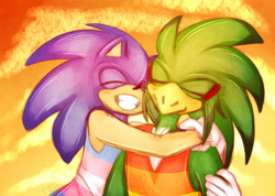 Size: 1024x728 | Tagged: safe, artist:milk-green-tea, jet the hawk, sonic the hedgehog, bird, hedgehog, blushing, clenched teeth, clouds, duo, eyes closed, gay, gay pride, gloves, hawk, hugging, jet x sonic, shipping, smile, sunset, trans boy sonic, trans male, trans pride, transgender