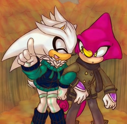 Size: 1600x1554 | Tagged: safe, artist:asb-fan, espio the chameleon, silver the hedgehog, hedgehog, 2019, arm in arm, blushing, chameleon, coat, duo, eyes closed, gay, gloves, hoodie, linking arms, long socks, looking at them, mouth open, pointing, scarf, shipping, silvio, walking