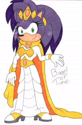 Size: 4289x6513 | Tagged: safe, artist:bageloftime, queen aleena, hedgehog, sonic underground, redesign, simple background, solo, white background