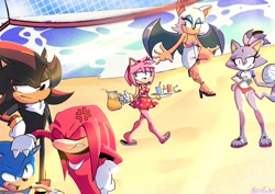 Size: 2900x2048 | Tagged: safe, artist:zettoart, amy rose, blaze the cat, knuckles the echidna, rouge the bat, shadow the hedgehog, sonic the hedgehog, bat, cat, echidna, hedgehog, beach, lemonade, outdoors, volleyball