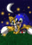 Size: 850x1170 | Tagged: safe, artist:arcticcryptid, miles "tails" prower, sonic the hedgehog, fox, hedgehog, 2009, cute, duo, firefly, gay, gloves, grass, happy, holding them, kneeling, looking at something, male, males only, moon, mouth open, nighttime, outdoors, shipping, shoes, socks, sonabetes, sonic x tails, star (sky), tailabetes