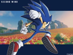 Size: 2048x1540 | Tagged: safe, artist:trizziefrizzie, sonic the hedgehog, sonic frontiers, 2023, abstract background, clenched fists, clenched teeth, field, flower, looking back at viewer, mid-air, outline, smile, solo, sonic frontiers: final horizon