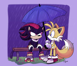 Size: 1280x1103 | Tagged: safe, artist:pinksodaeve, miles "tails" prower, shadow the hedgehog, bench, cute, duo, flower, gay, grass, holding something, looking at each other, outdoors, rain, shadow x tails, shadowbetes, shipping, signature, sitting, smile, tailabetes, umbrella