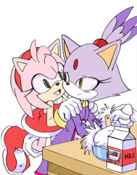 Size: 981x1257 | Tagged: safe, artist:smsskullleader, amy rose, blaze the cat, cat, hedgehog, 2014, amy x blaze, amy's halterneck dress, blaze's tailcoat, blushing, cooking, cute, egg, female, females only, hands on shoulders, lesbian, looking back, milk, shipping