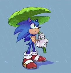 Size: 1947x2000 | Tagged: safe, artist:nanite, sonic the hedgehog, lilypad, rain, simple background