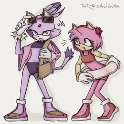 Size: 1024x1024 | Tagged: safe, artist:oshiichika, amy rose, blaze the cat, cat, hedgehog, 2022, amy x blaze, bag, bikini, cute, female, females only, flower, lesbian, shipping, sunglasses