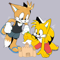 Size: 2000x2000 | Tagged: safe, artist:lebluenooki, miles "tails" prower, nine, sonic prime, sandcastle, self paradox