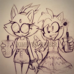 Size: 1280x1280 | Tagged: safe, artist:kimmyko, amy rose, blaze the cat, cat, hedgehog, 2017, amy x blaze, cute, female, females only, lesbian, line art, pointing, shipping, sketch, sunglasses, traditional media