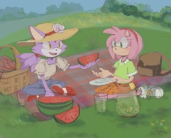 Size: 2048x1652 | Tagged: safe, artist:fikus345, amy rose, blaze the cat, cat, hedgehog, 2023, amy x blaze, amy's classic dress, cute, female, females only, hat, lemonade, lesbian, picnic, picnic basket, shipping, watermelon