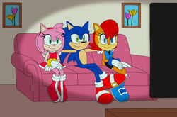 Size: 1280x846 | Tagged: safe, artist:shadow-viper, sally acorn, sonic the hedgehog, abstract background, amy x sonic, bisexual, polyamory, sally x sonic, shipping, sonsalamy, straight, trio, tv