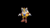 Size: 800x450 | Tagged: safe, artist:rotalice2, miles "tails" prower, 3d, aged up, animated, black background, falling, gif, goggles on head, jumping, older, simple background, solo, spinning, tails adventure armada (fanproject)