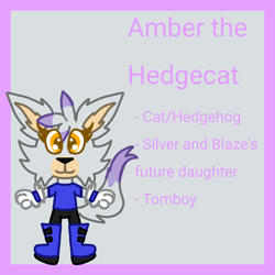 Size: 1280x1280 | Tagged: safe, artist:bluedeerfox14, cat, hedgehog, hybrid, fankid, gloves, pants, parent:blaze, parent:silver, shirt, shoes, solo