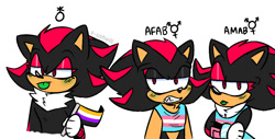 Size: 996x504 | Tagged: safe, artist:shads-art, shadow the hedgehog, 2019, binder, blushing, chest fluff, clenched teeth, dress, english text, female, flag, green tongue, holding something, lidded eyes, looking at viewer, looking offscreen, male, nonbinary, nonbinary pride, pride flag, raised eyebrow, simple background, standing, tongue out, trans female, trans male, transgender, trio, white background