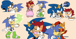 Size: 1880x976 | Tagged: safe, artist:risziarts, chip, manik acorn, manik the hedgehog, sally acorn, sonia acorn, sonic the hedgehog