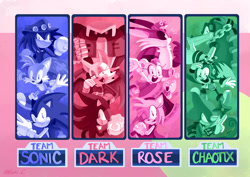 Size: 2048x1448 | Tagged: safe, artist:rechicken-and-waffles, amy rose, big the cat, charmy bee, cream the rabbit, e-123 omega, espio the chameleon, froggy, knuckles the echidna, miles "tails" prower, rouge the bat, shadow the hedgehog, sonic the hedgehog, vector the crocodile, chao, sonic heroes, abstract background, english text, female, flapping wings, genderless, group, hat, knuckles' hat, male, monochrome, multiple monochrome, piko piko hammer, redraw, robot, shuriken, team chaotix, team dark, team rose, team sonic, wall of tags