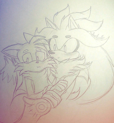 Size: 426x460 | Tagged: safe, artist:silverdoodler, miles "tails" prower, silver the hedgehog, fox, hedgehog, duo, gay, holding them, line art, pencilwork, shipping, signature, silvails, sketch, traditional media