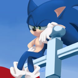 Size: 2048x2048 | Tagged: safe, artist:sefuter, sonic the hedgehog, abstract background, fence, lidded eyes, lineless, looking down, male, outline, redraw, sitting, smile, solo, solo male, sonic x