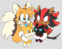 Size: 892x694 | Tagged: safe, artist:shadails, miles "tails" prower, shadow the hedgehog, chao, blushing, character chao, gay, genderless, grey background, group, holding them, shadow chao, shadow x tails, shipping, simple background, smile, tails chao