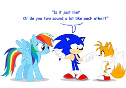 Size: 2048x1431 | Tagged: safe, artist:lachlandingoofficial, miles "tails" prower, sonic the hedgehog, ashleigh ball, my little pony, rainbow dash, trio, voice actor joke