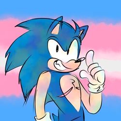 Size: 1280x1280 | Tagged: safe, artist:dipdopdon, sonic the hedgehog, abstract background, chest fluff, clenched teeth, looking at viewer, nonbinary, pointing, pride flag background, smile, solo, standing, top surgery scars, transgender