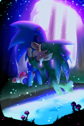 Size: 920x1380 | Tagged: safe, artist:snicsnac, jet the hawk, sonic the hedgehog, bird, hedgehog, 2018, abstract background, blushing, gay, gloves off, glowing, hawk, holding each other, jet x sonic, kiss, kneeling, lidded eyes, looking at each other, male, males only, nighttime, outdoors, shipping, shoes off, sloppy kissing, tongue out, water, wet