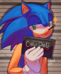 Size: 1706x2048 | Tagged: safe, artist:sadw_e, sonic the hedgehog, barbie mugshot meme, meme, mugshot, star (symbol)