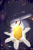 Size: 1324x2000 | Tagged: safe, artist:sstorminghearts, silver the hedgehog, holding something, looking at viewer, reaching towards the viewer, signature, solo, time stone, watermark, yellow eyes