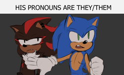 Size: 1194x726 | Tagged: dead source, safe, artist:halcyon-pandion, shadow the hedgehog, sonic the hedgehog, dialogue, duo, english text, frown, grey background, his pronouns are x, lidded eyes, looking offscreen, male, meme, mouth open, nonbinary, one fang, pronouns, simple background, standing, top surgery scars, trans male, transgender