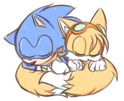 Size: 1537x1248 | Tagged: safe, artist:azulila, miles "tails" prower, sonic the hedgehog, fox, hedgehog, 2014, cute, duo, eyes closed, male, males only, simple background, sleeping, sonic boom (tv), tail hug, white background, wrapped in tails