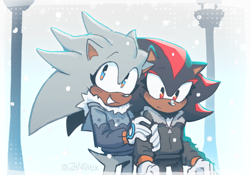 Size: 1380x966 | Tagged: safe, artist:zan0tix, shadow the hedgehog, silver the hedgehog, abstract background, coat, duo, eyelashes, frown, gay, holding them, male, males only, outdoors, shadow x silver, shipping, smile, snow, standing