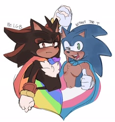 Size: 1922x2048 | Tagged: dead source, safe, artist:t0yhaunt, shadow the hedgehog, hedgehog, blushing, cape, duo, english text, frown, gay, gay pride, holding hands, lidded eyes, looking at viewer, male, males only, pride, pride flag, shadow x sonic, shipping, simple background, smile, standing, thumbs up, top surgery scars, trans male, trans pride, transgender, white background, wink