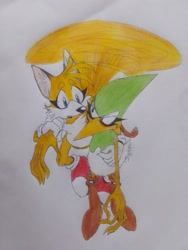 Size: 1536x2048 | Tagged: safe, artist:transgender-battlekukku, miles "tails" prower, speedy, bird, fox, carrying them, duo, eyelashes, flying, holding them, looking at each other, male, males only, redraw, spinning tails