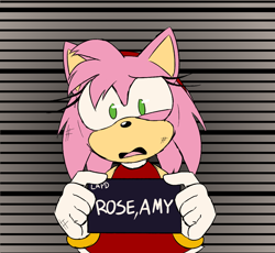 Size: 1278x1177 | Tagged: safe, artist:gh0stfl0wer, amy rose, barbie mugshot meme, character name, female, holding something, looking at viewer, meme, mugshot, solo