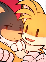 Size: 1536x2048 | Tagged: safe, artist:tetsuchibimori, miles "tails" prower, shadow the hedgehog, 2023, blushing, carrying them, cute, duo, frown, gay, looking at them, looking away, mouth open, shadow x tails, shadowbetes, shipping, simple background, smile, tailabetes, white background