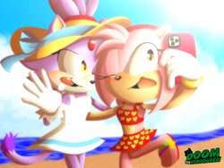 Size: 2048x1536 | Tagged: safe, artist:doom_the_meme, amy rose, blaze the cat, cat, hedgehog, 2023, amy x blaze, beach, bikini, cute, female, females only, hat, lesbian, one eye closed, phone, sandals, selfie, shipping, swimsuit