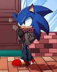 Size: 600x750 | Tagged: safe, artist:root8beat, sonic the hedgehog, hedgehog, black gloves, blue fur, coat, gloves, green eyes, male, pants, scarf, shirt, shoes