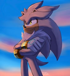 Size: 1080x1184 | Tagged: safe, artist:solar socks, silver the hedgehog, hedgehog, gloves, grey fur, male, yellow eyes